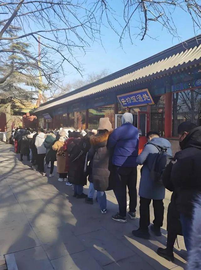 年后这些“小赚”行业在全网爆火开元棋牌“发大财难如登天”过(图12)